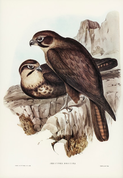 ¿Falcon: un héroe valiente o un peón en el juego de los Vengadores?