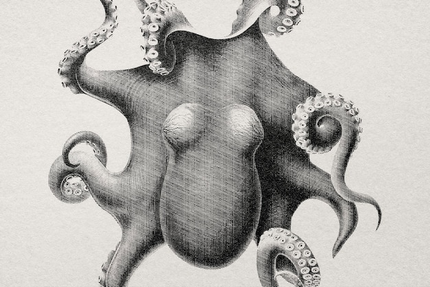 ¿Fue la Balsa de la Medusa un acto heroico o un horroroso crimen? Descubre la verdad detrás de uno de los mayores escándalos de la historia en alta mar.