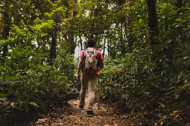 ¿Héroes o villanos? Descubre la verdad detrás de la pandilla de la selva y decide por ti mismo
