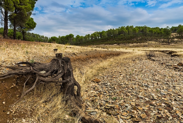 ¿Qué hay detrás de la Pelada de la Cañada? Una reflexión sobre la importancia de la preservación de la fauna y flora en peligro de extinción.