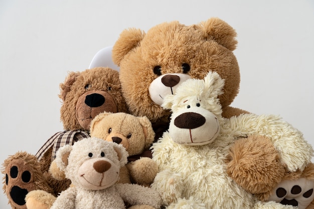 ¿Qué hay detrás de los osos de peluche? La reflexión sobre la explotación animal y la necesidad de buscar alternativas éticas y sostenibles.
