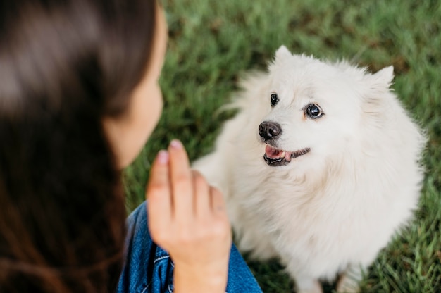 ¿Qué nos enseña la historia de Hachiko sobre la lealtad y el amor incondicional?