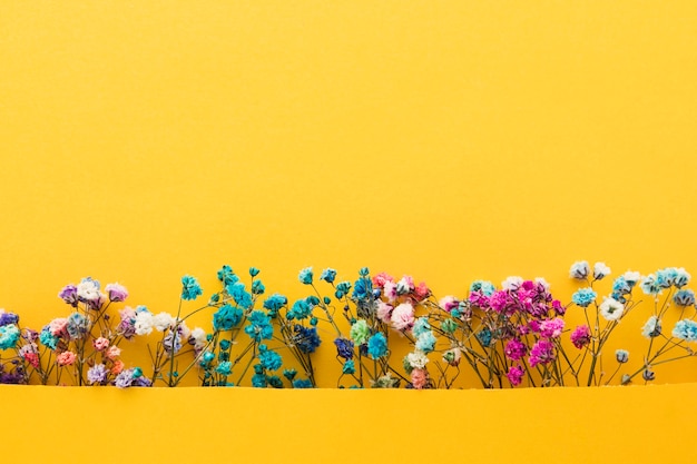 ¿Realmente entendemos el significado de la Primavera?