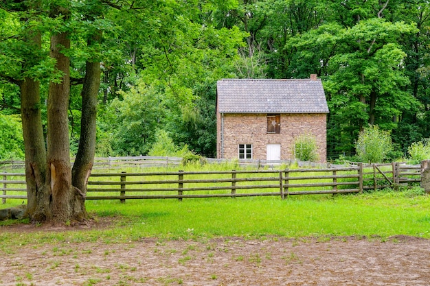 - ¿Realmente era La Casa de la Pradera un lugar idílico o existían problemas ocultos?