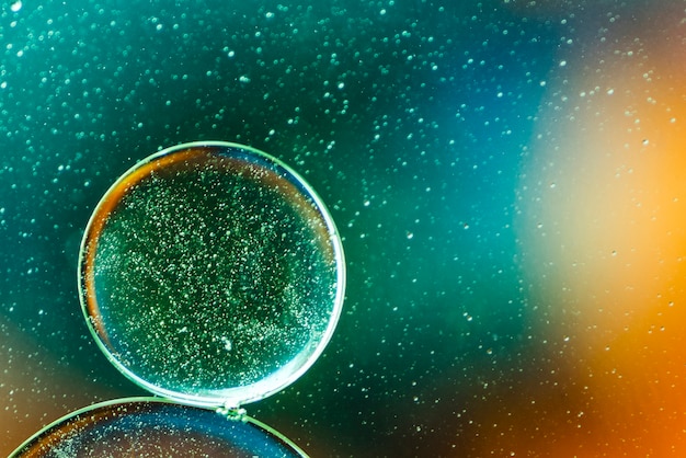 ¿Realmente fue Alexander Fleming el descubridor de la penicilina? Descubre la verdad detrás de uno de los mayores hitos de la medicina moderna y cómo un equipo de científicos olvidados fue clave en su desarrollo.