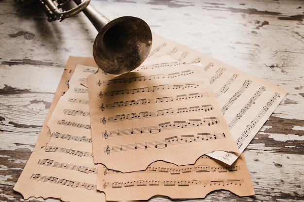 ¿Sabías que la canción