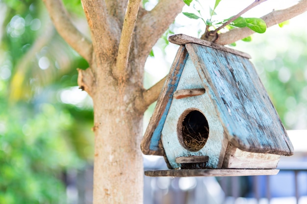 ¿Te atreverías a pasar una noche en la Casa Búho? Descubre por qué es considerada una de las casas más embrujadas del mundo.