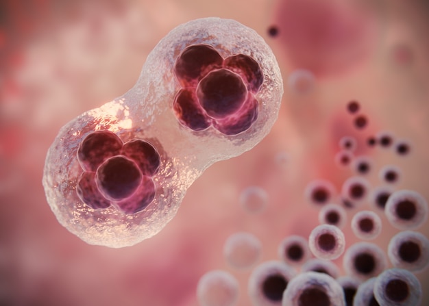 ¿Y si los Xeiniformes nunca se extinguieron? La importancia de preservar la biodiversidad.