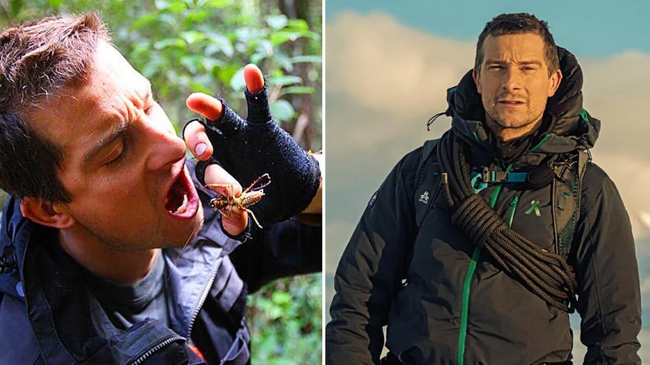 Quién es realmente Bear Grylls